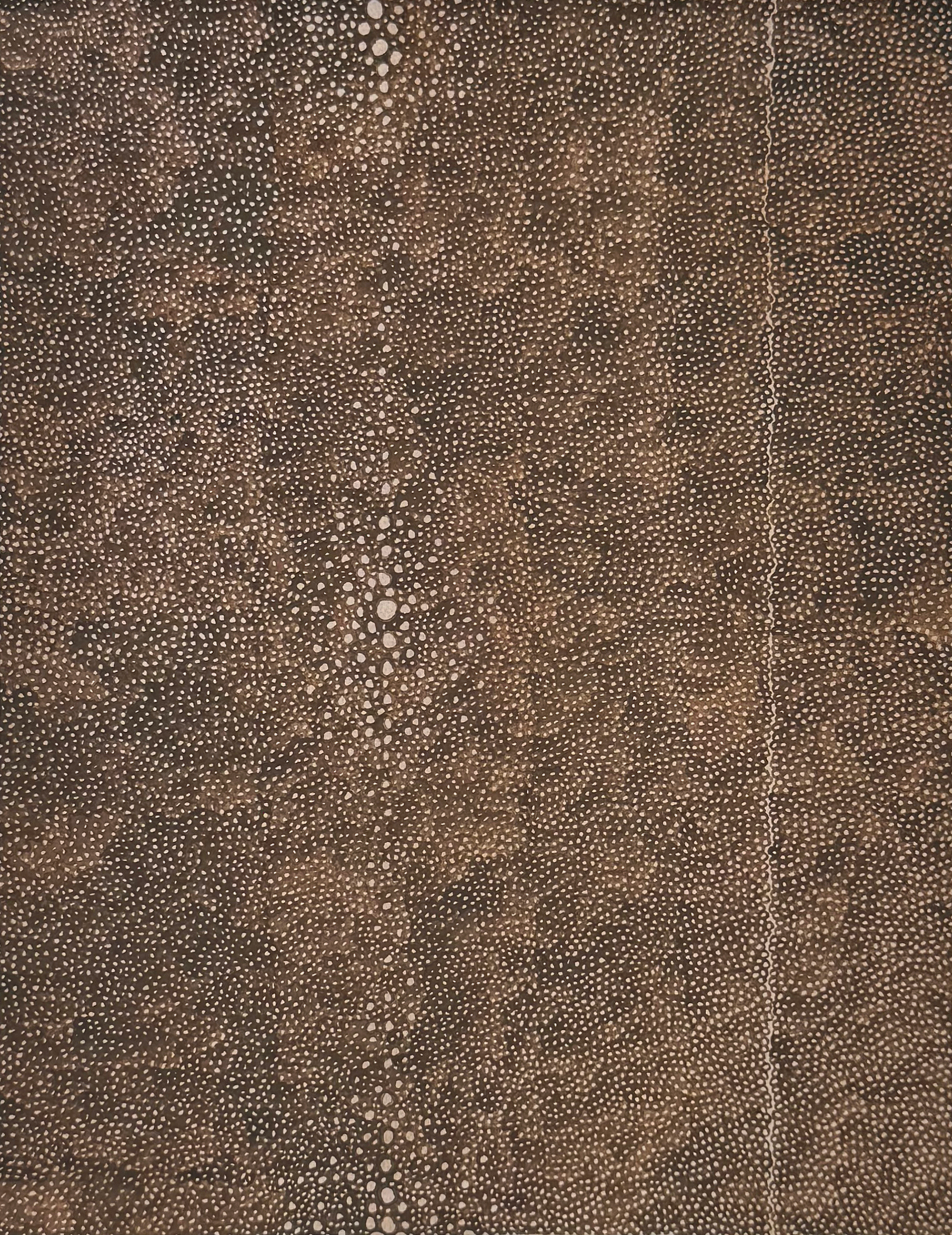 Brown Limewash Shagreen