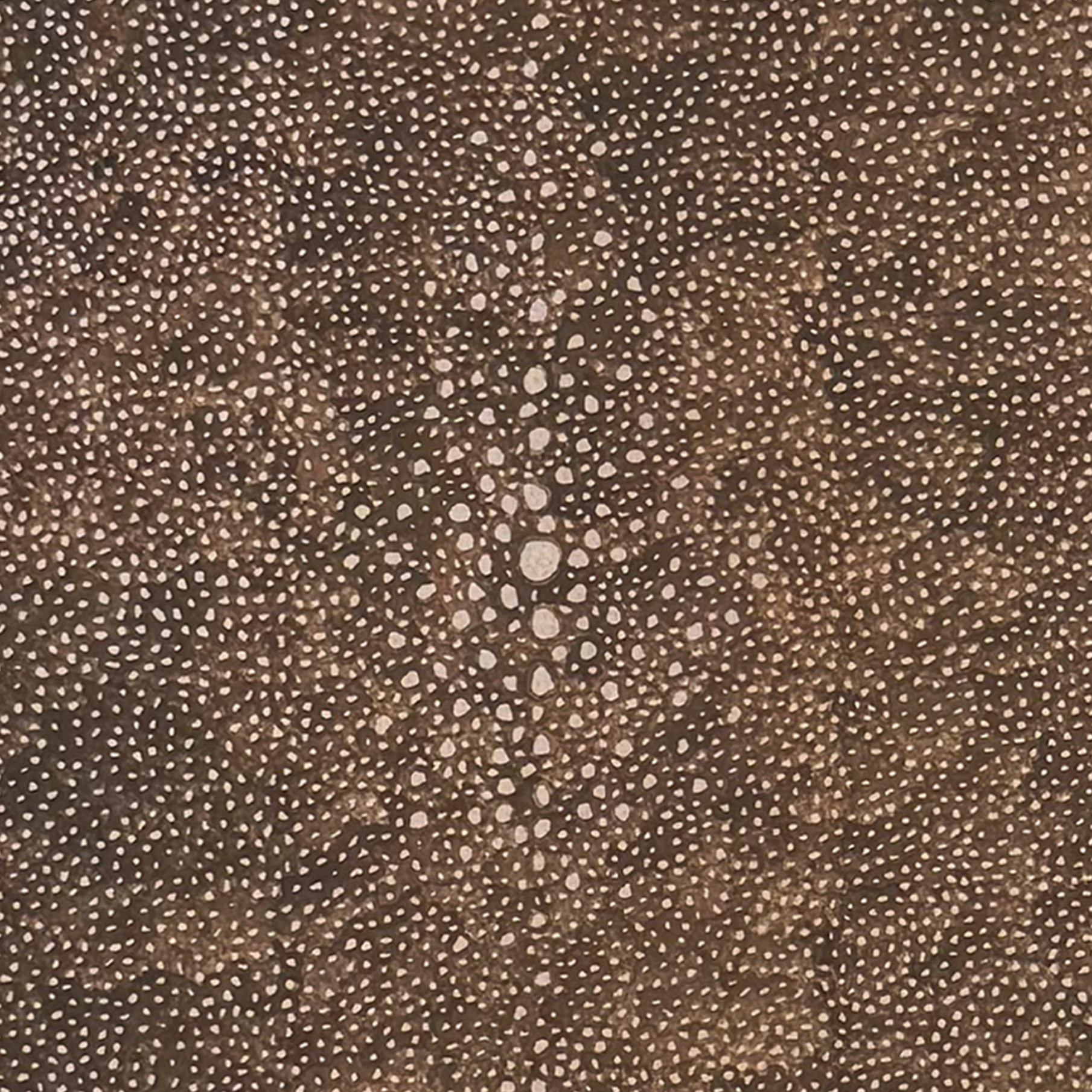 Brown Limewash Shagreen