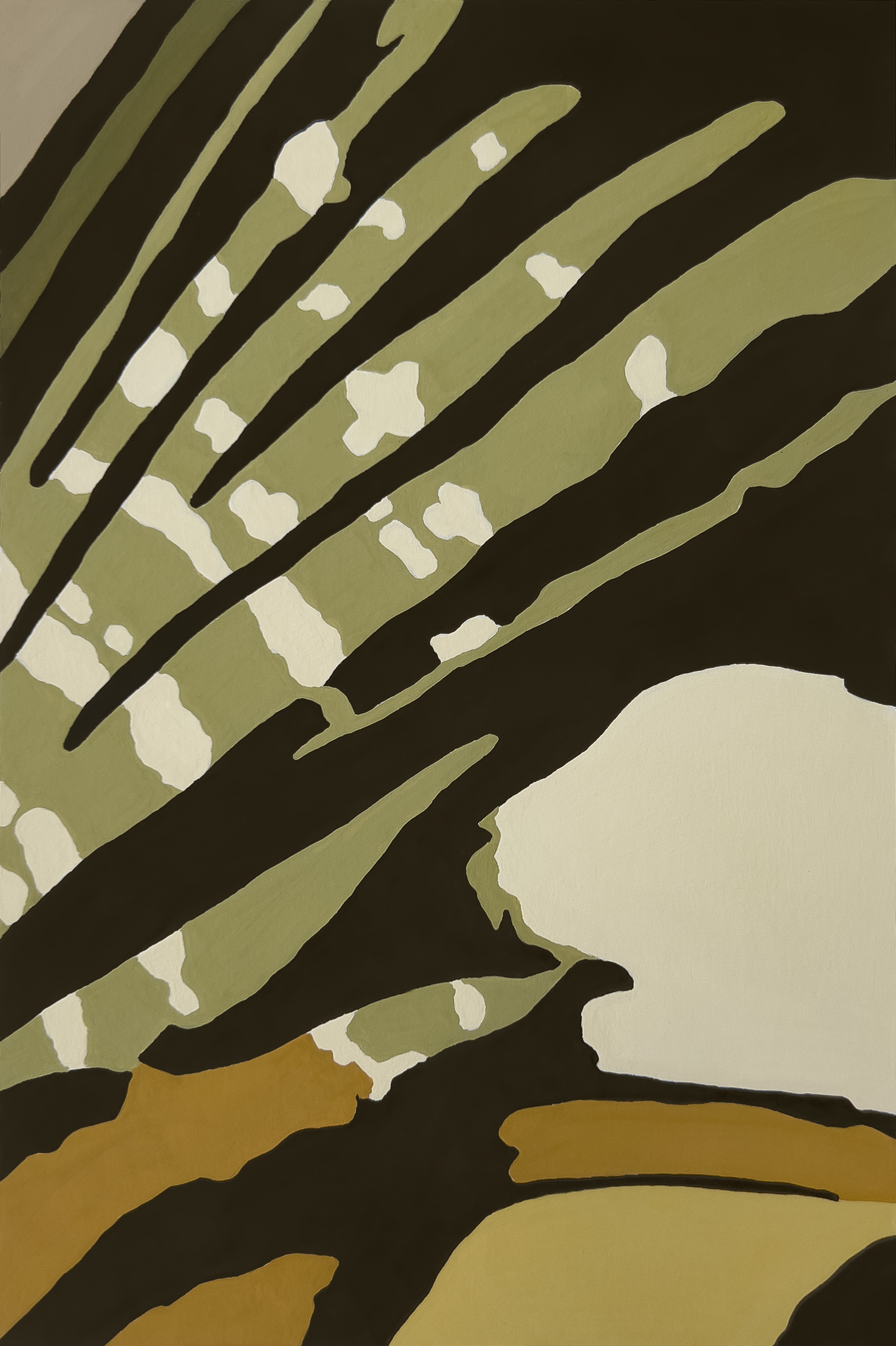 Butterfly Wing Detail