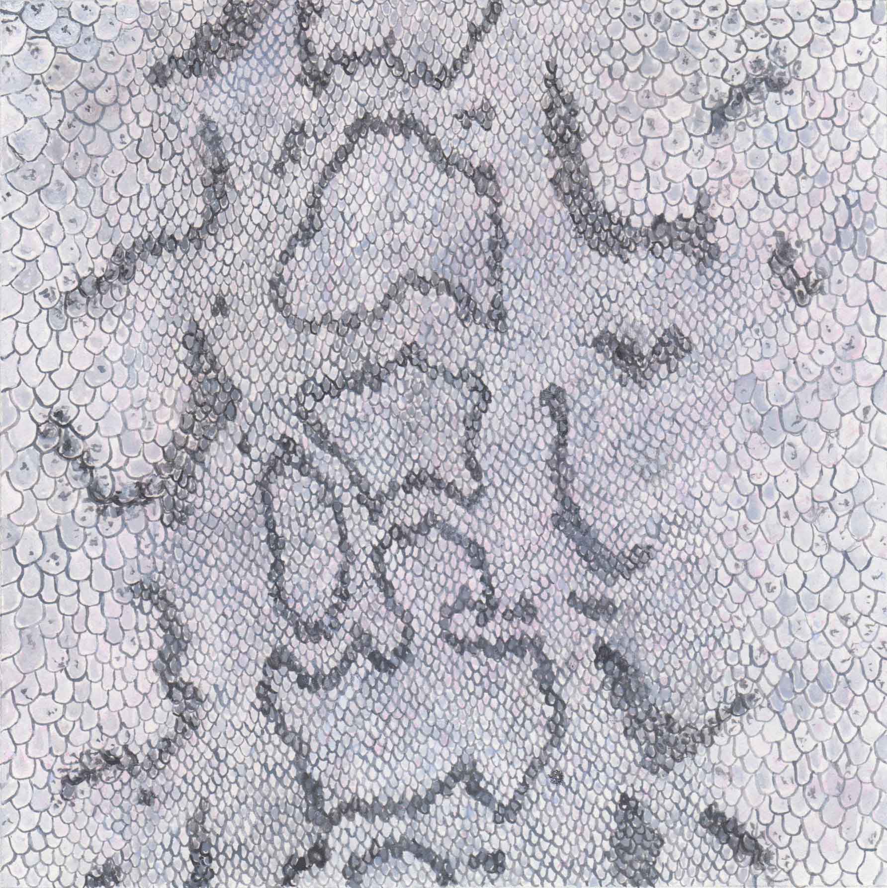 Snakeskin